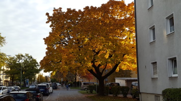 Nacktes Mädchen Steht In Der Wüste An Der Strasse Nacktes Mädchen Steht In Der Wüste An Der Strasse