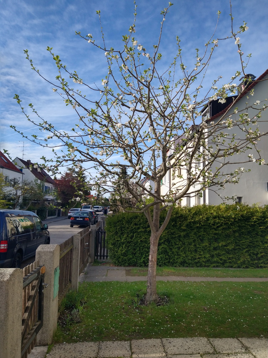 Nacktes Mädchen Steht In Der Wüste An Der Strasse Nacktes Mädchen Steht In Der Wüste An Der Strasse
